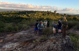 Observação de aves 3.jpeg