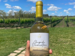 Rota do Vinho da Chapada Diamantina desperta interesse de profissionais do turismo, no Paraná e em São Paulo  Foto Divulgação.png