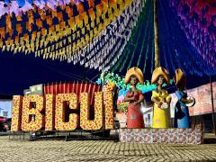 São João Ibicuí 1.jpeg