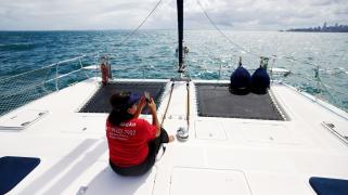 Avistamento 1 Fotos Matheus LandimGOVBA.jpeg