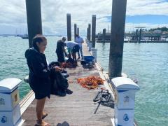 WhatsApp Image 2025-07-17 at 15.08.11.jpeg