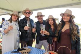 Vindima de Inverno 3.jpeg