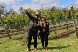 Vindima de Inverno Chapada Diamantina Foto Tatiana Azeviche Ascom SeturBA.jpeg