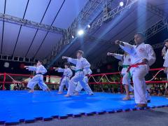 17º Bon Odori - Festival da Cultura Japonesa 4.jpeg