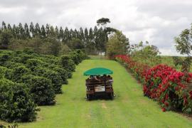 Rota dos Cafés Especiais 4.jpeg