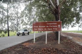 Rota dos Cafés Especiais 5.jpeg