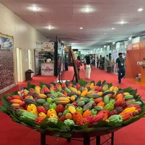 Produção de chocolate associada ao turismo incrementa economia da Costa do Cacau