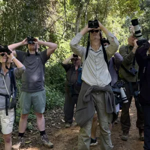 Potencial da Bahia para o turismo de observação de aves atrai operadores de viagens internacionais