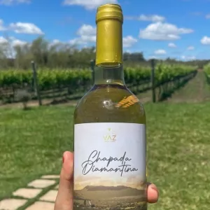 Rota do Vinho da Chapada Diamantina desperta interesse de profissionais do turismo, no Paraná e em São Paulo