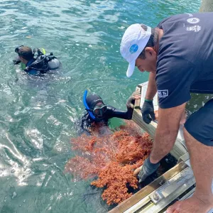 Setur-BA mantém parceria com projeto de sustentabilidade na Baía de Todos-os-Santos