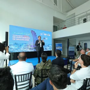Bahia lança temporada 2026 de observação de baleias-jubarte com capacitação para profissionais do turismo