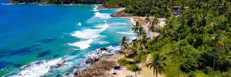 Operadores e agentes de viagens sul-americanos são capacitados sobre o destino Bahia