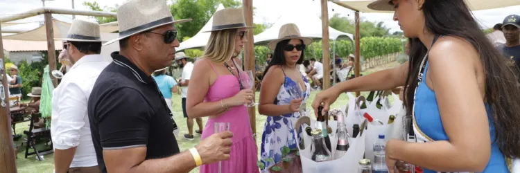 Enoturismo de Morro do Chapéu impulsiona economia da Chapada Diamantina