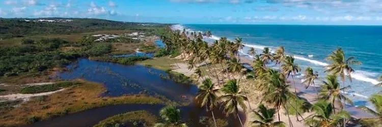 Para além do naturismo, Massarandupió recebe festival musical e cervejeiro