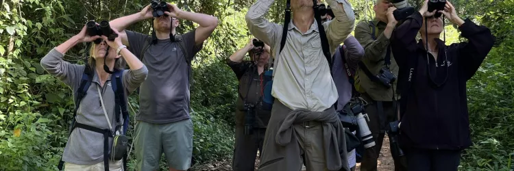 Potencial da Bahia para o turismo de observação de aves atrai operadores de viagens internacionais