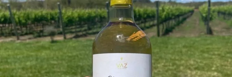 Rota do Vinho da Chapada Diamantina desperta interesse de profissionais do turismo, no Paraná e em São Paulo