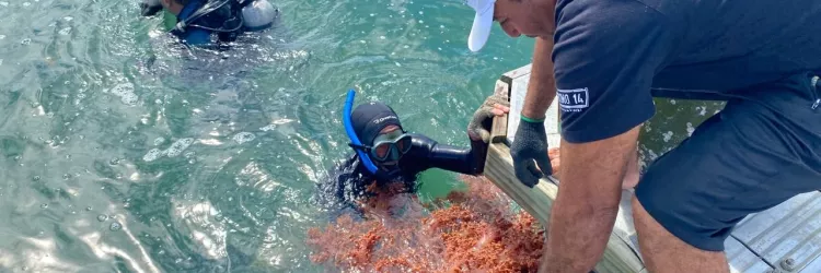 Setur-BA mantém parceria com projeto de sustentabilidade na Baía de Todos-os-Santos